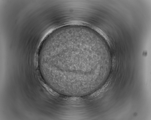 X0000098011067200804181129