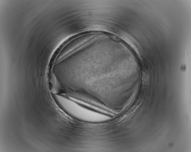 X0000098011068200804181129