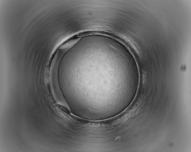 X0000098011069200804181128