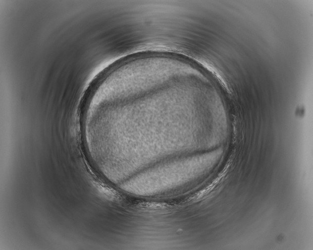 X0000098011070200804181128