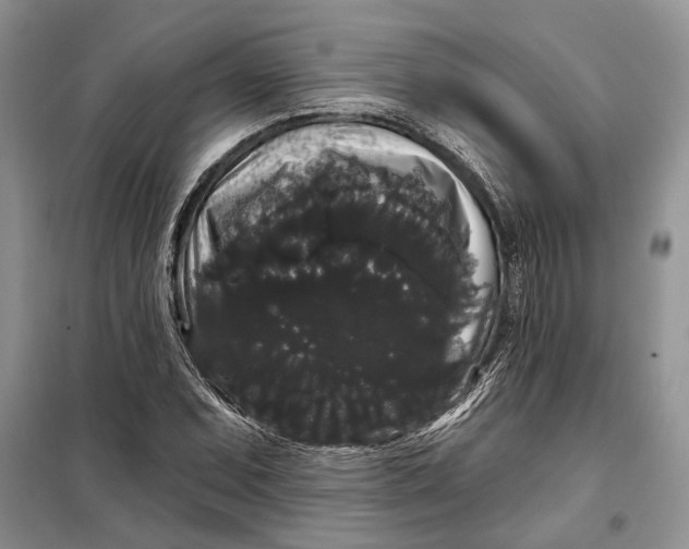 X0000098011071200804181128