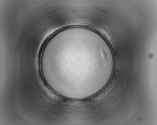 X0000098011072200804181128