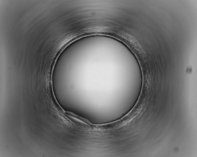 X0000098011073200804181128