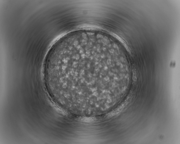 X0000098011074200804181128