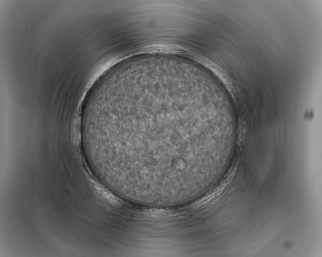 X0000098011075200804181128