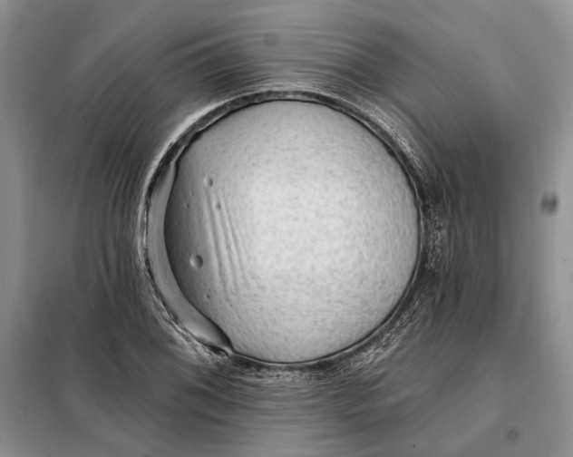 X0000098011076200804181128