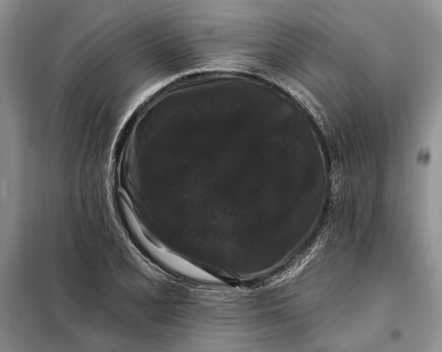 X0000098011077200804181128