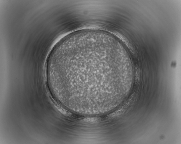 X0000098011078200804181128