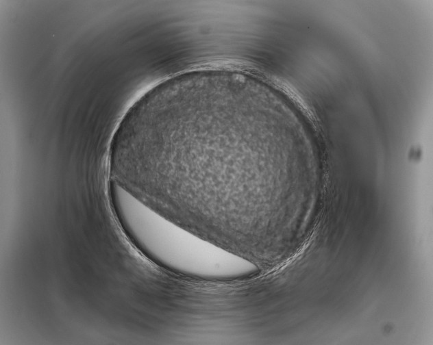 X0000098011079200804181128