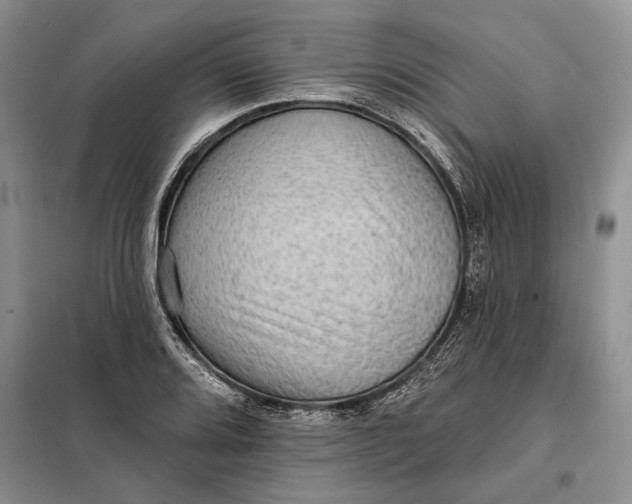 X0000098011080200804181128