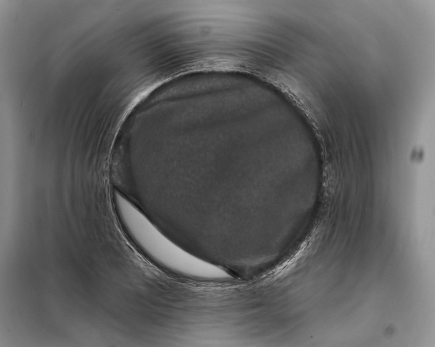 X0000098011081200804181128