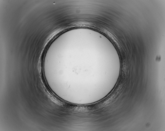 X0000098011082200804181128