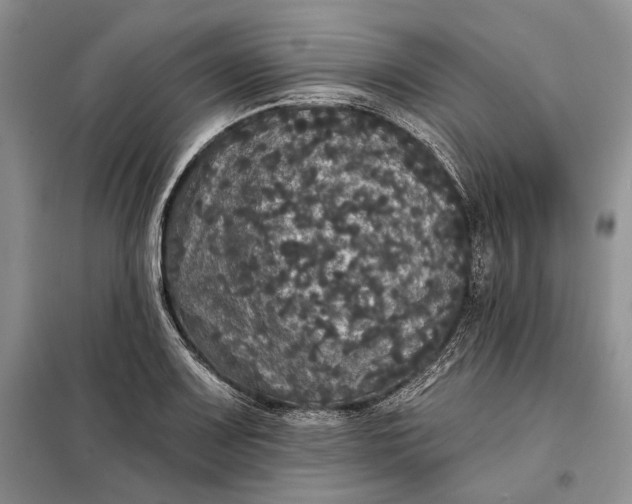 X0000098011083200804181128