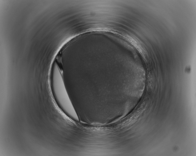 X0000098011084200804181128