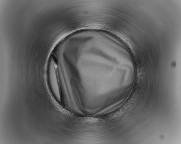 X0000098011085200804181128