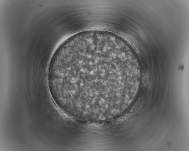 X0000098011086200804181128