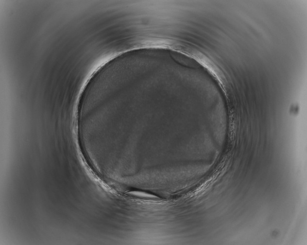 X0000098011088200804181128