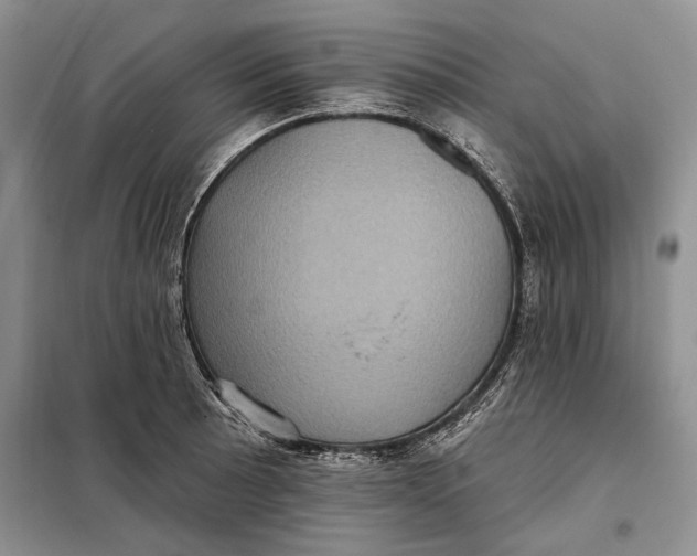 X0000098011089200804181128