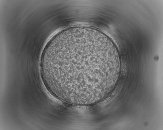 X0000098011090200804181128