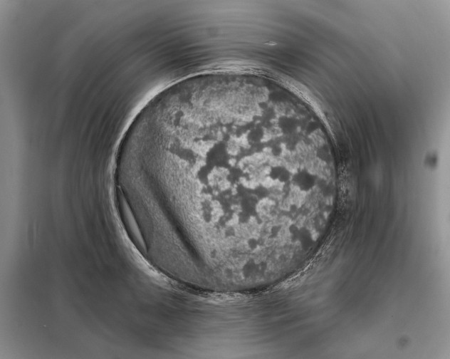 X0000098011091200804181128