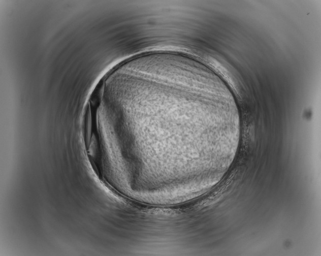 X0000098011092200804181128