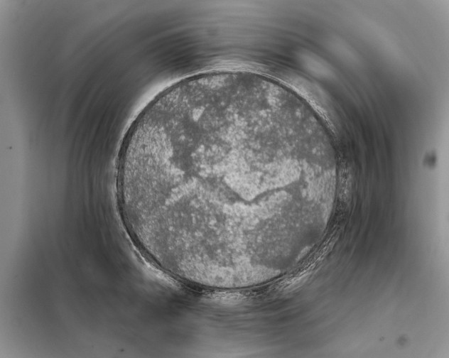 X0000098011094200804181128