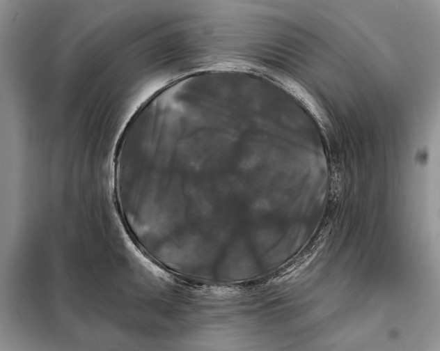 X0000098011095200804181128