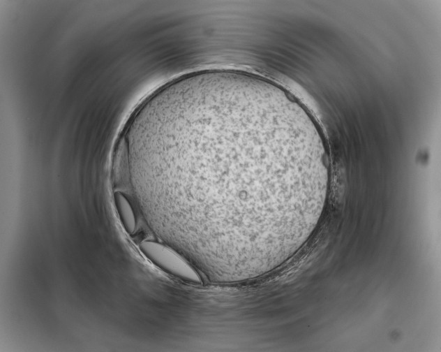 X0000098011096200804181128