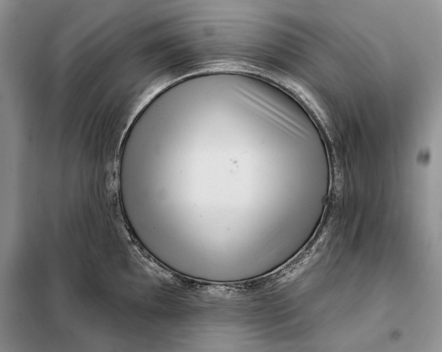 X0000098011097200804181128