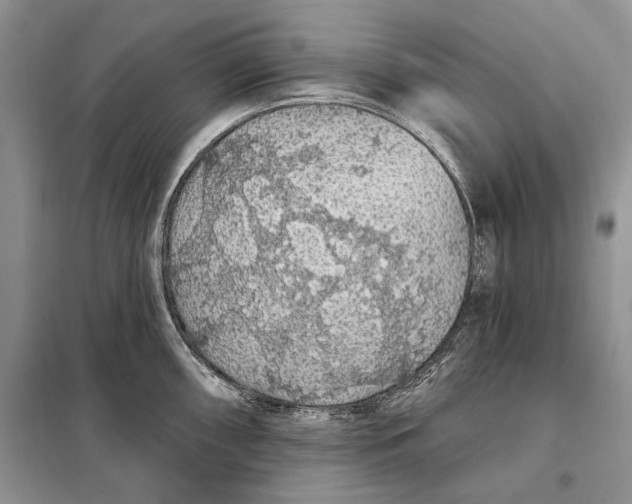 X0000098011098200804181128