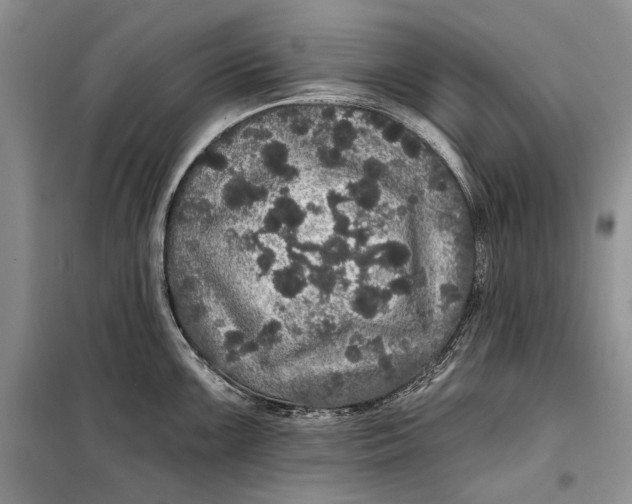 X0000098011099200804181128