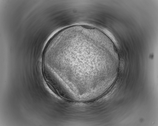 X0000098011100200804181128