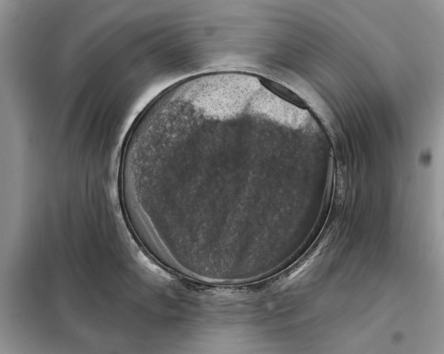 X0000098011102200804181128