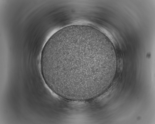 X0000098011103200804181128