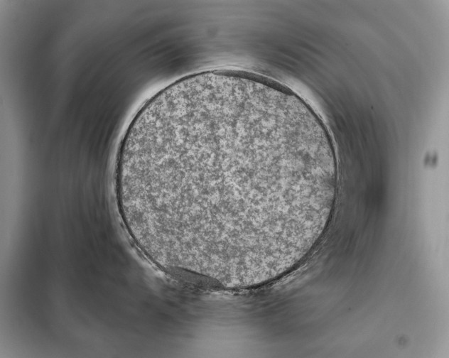 X0000098011104200804181128