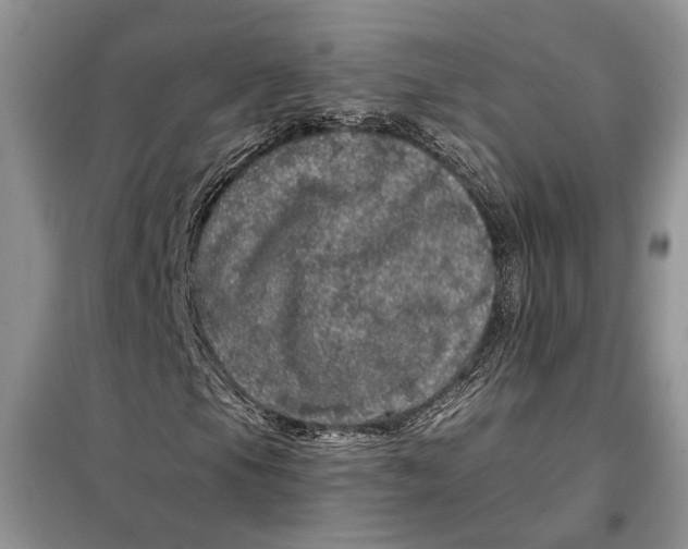 X0000098011105200804181127