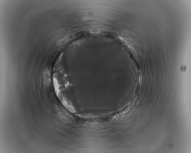 X0000098011106200804181127