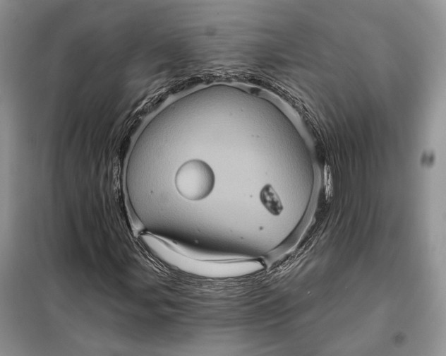 X0000098011107200804181127