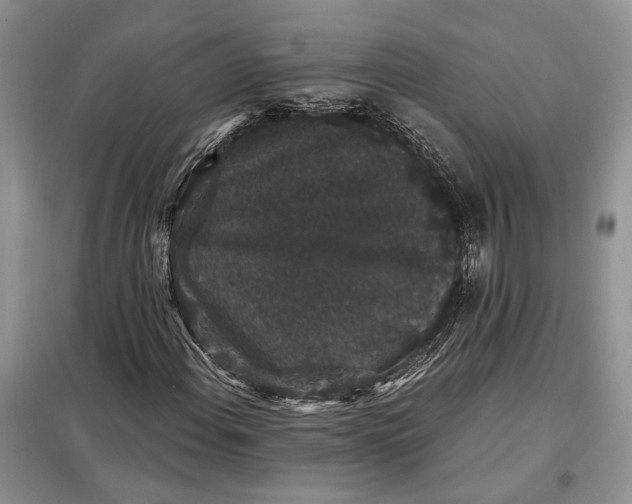 X0000098011108200804181127