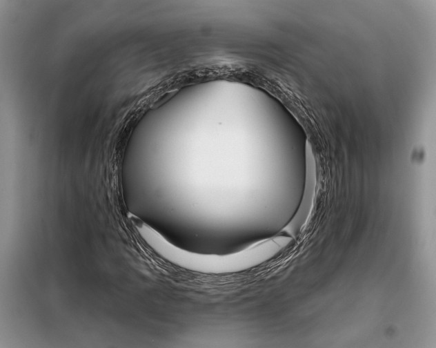 X0000098011109200804181127