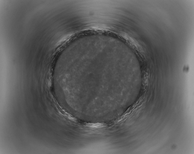 X0000098011110200804181127