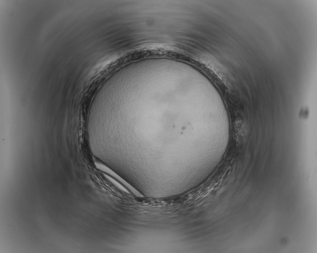 X0000098011111200804181127