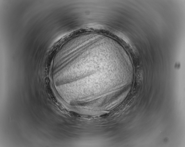 X0000098011112200804181127