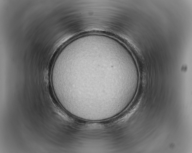 X0000098011113200804181127