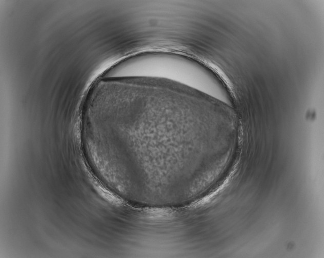 X0000098011114200804181127