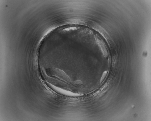 X0000098011115200804181127