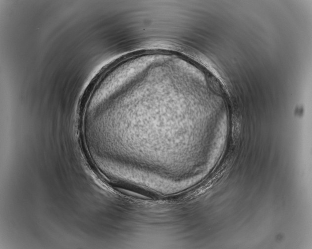 X0000098011116200804181127