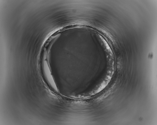 X0000098011117200804181127