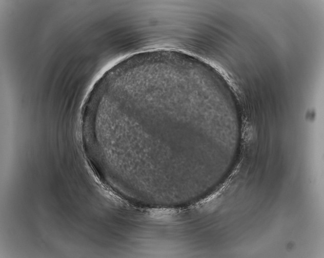 X0000098011118200804181127