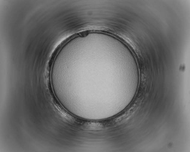 X0000098011119200804181127